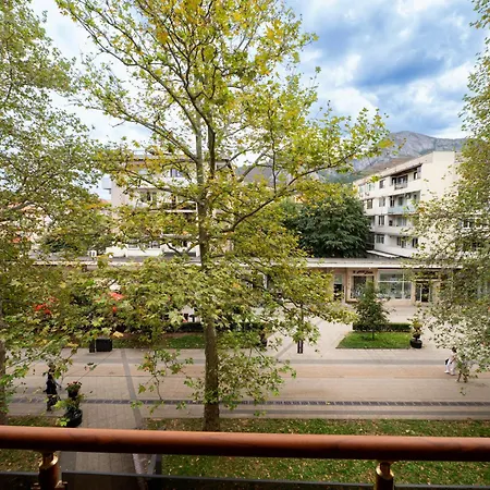 Mountain View 公寓 *